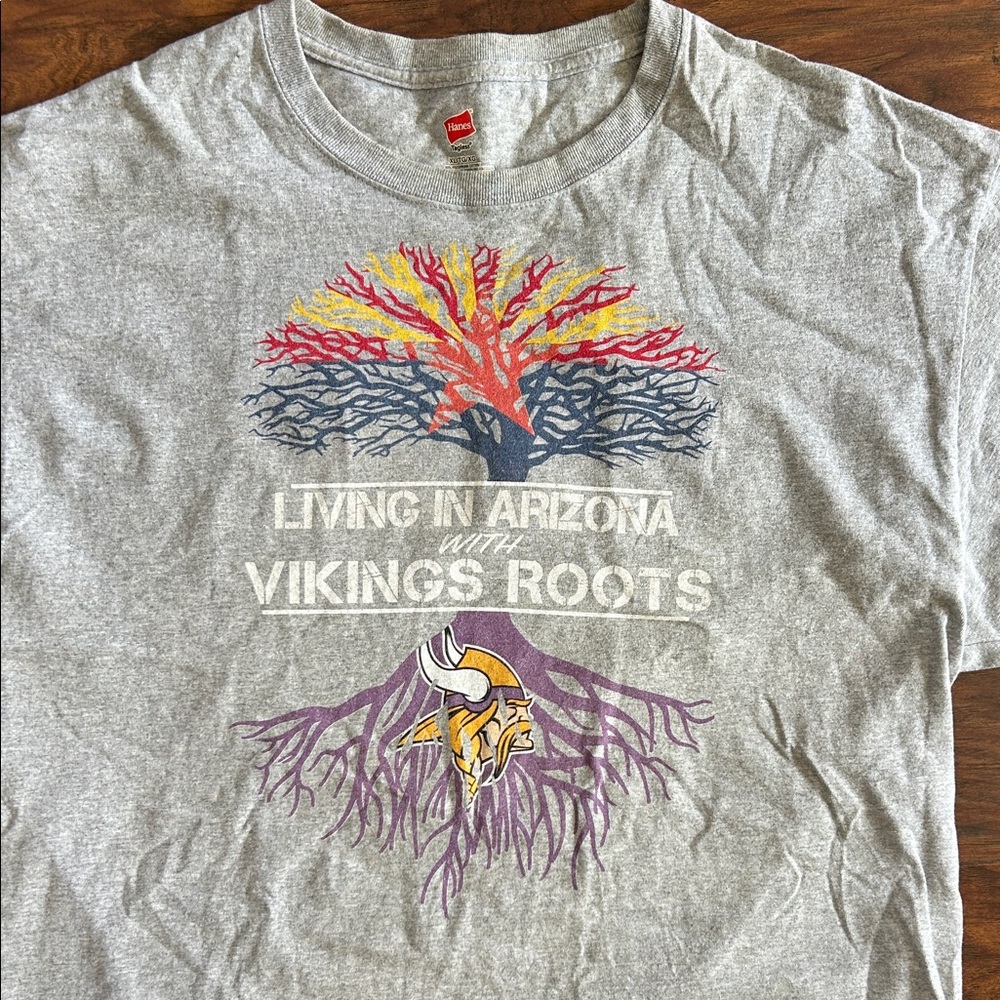 Hanes Gray Short Sleeve Tee with Arizona Vikings Design